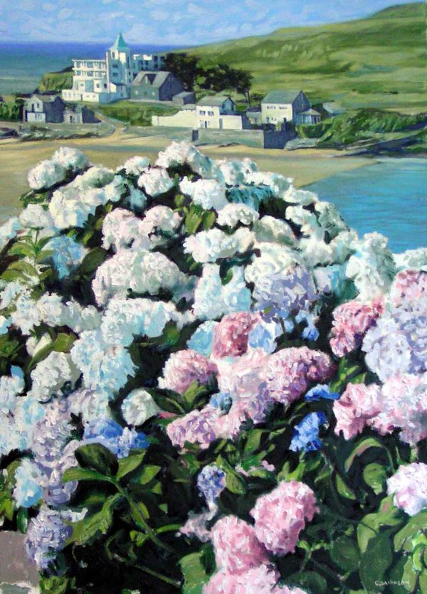 Hydrangias, Bigbury on Sea 