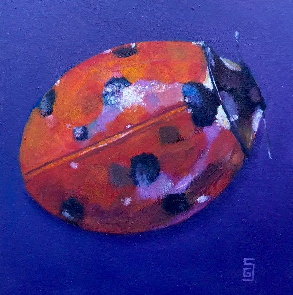 Ladybird II