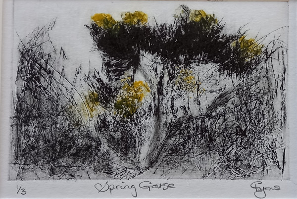 Spring Gorse