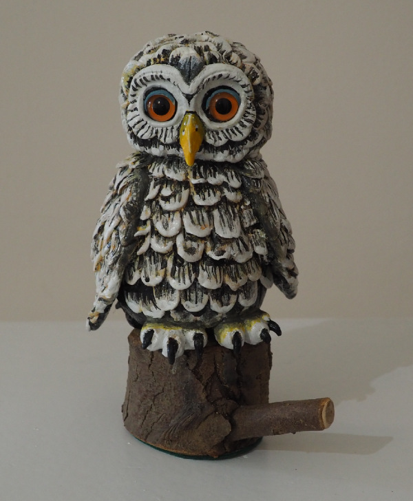 Little Owl