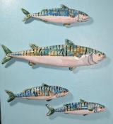 Mackerel School